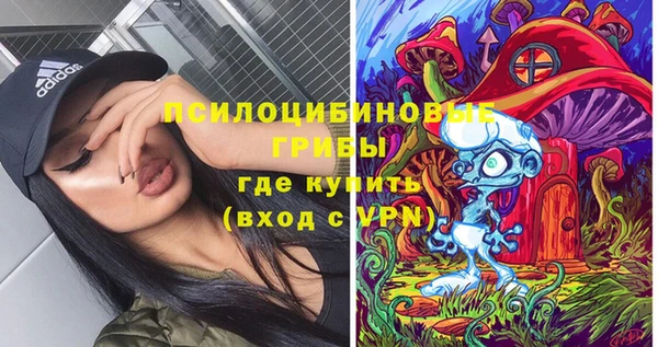 экстази Алексин