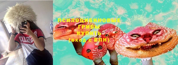 тгк Новозыбков