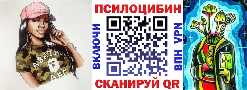 Псилоцибиновые грибы Cubensis  закладки  Саров 